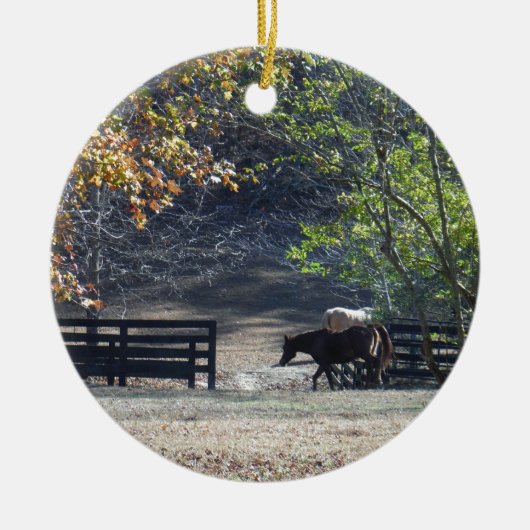 Bruin paard loopt door het hek keramisch ornament (Voorkant)