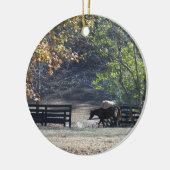 Bruin paard loopt door het hek keramisch ornament (Links)