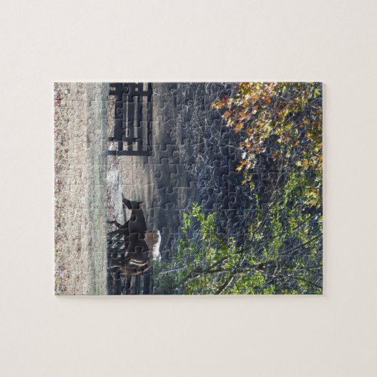 Bruin paard loopt door het hek legpuzzel (Horizontaal)