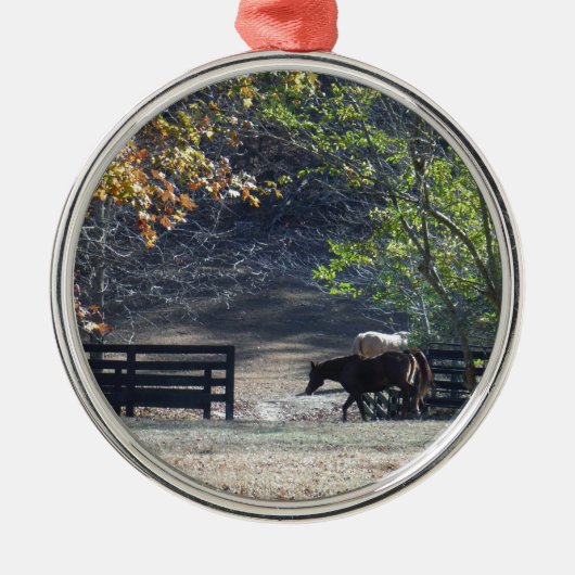 Bruin paard loopt door het hek metalen ornament (Voorkant)