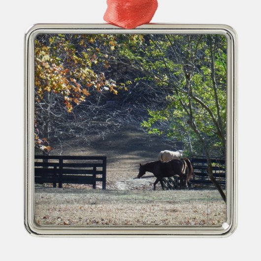 Bruin paard loopt door het hek metalen ornament (Voorkant)