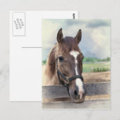 Bruin paard met brigade Briefkaart (Voorkant / Achterkant)