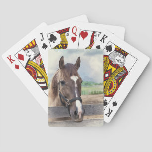 Bruin paard met brigadedek van speelkaarten