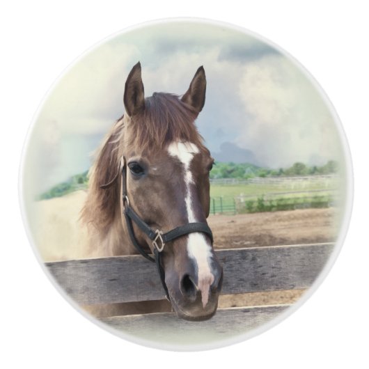Bruin paard met Halter Keramische Knop (Voorkant)