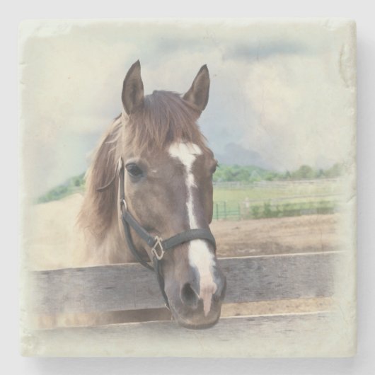 Bruin paard met Halter Stenen Onderzetter (Voorkant)