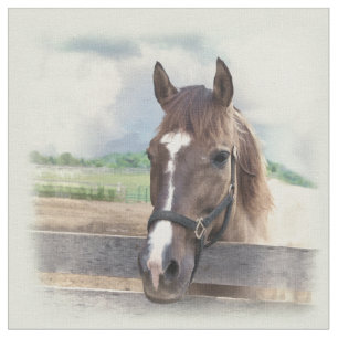 Bruin paard met Halter Stof