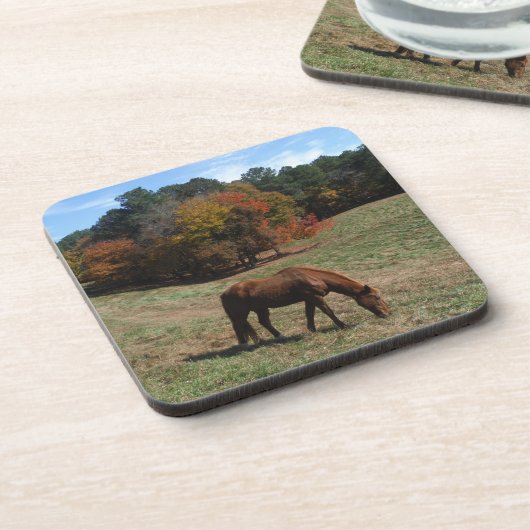 Bruin paard met herfst bier onderzetter (Linkerzijde)