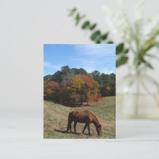 Bruin paard met herfst briefkaart (Staand voorkant)