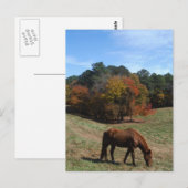 Bruin paard met herfst briefkaart (Voorkant / Achterkant)