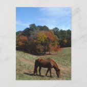 Bruin paard met herfst briefkaart (Voorkant)