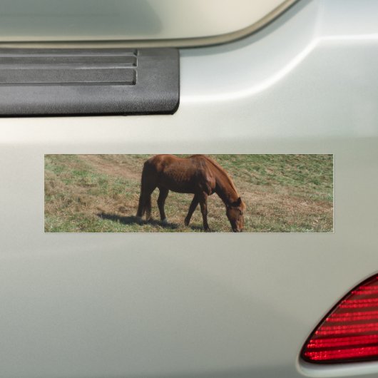 Bruin paard met herfst bumpersticker (Op auto)