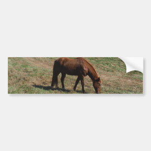 Bruin paard met herfst bumpersticker