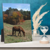 Bruin paard met herfst fotoplaat (Zijkant)