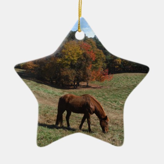 Bruin paard met herfst keramisch ornament (Voorkant)