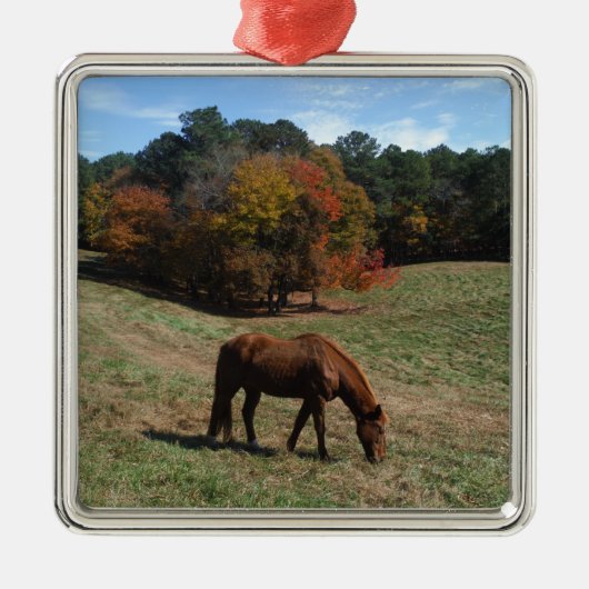 Bruin paard met herfst metalen ornament (Voorkant)