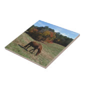 Bruin paard met herfst tegeltje (Zijkant)