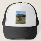 Bruin paard met herfst trucker pet (Voorkant)