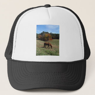 Bruin paard met herfst trucker pet