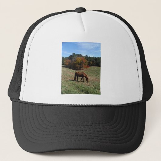 Bruin paard met herfst trucker pet (Voorkant)