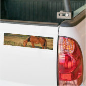 Bruin paard met pijnbomen bumpersticker (Op Truck)