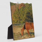 Bruin paard met pijnbomen fotoplaat (Zijkant)