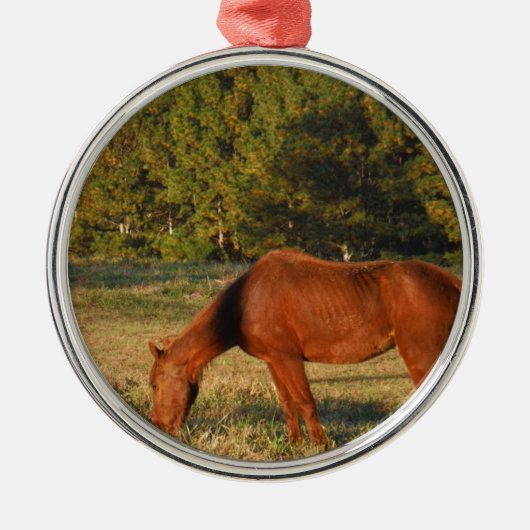 Bruin paard met pijnbomen metalen ornament (Voorkant)