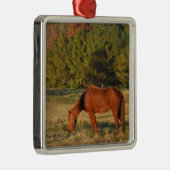 Bruin paard met pijnbomen metalen ornament (Rechts)