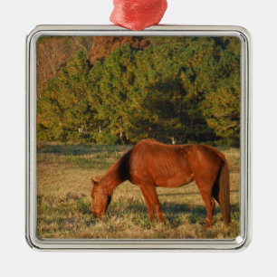 Bruin paard met pijnbomen metalen ornament