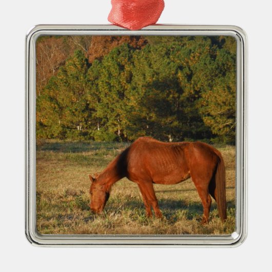 Bruin paard met pijnbomen metalen ornament (Voorkant)