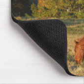 Bruin paard met pijnbomen muismat (Hoek)