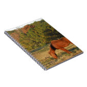 Bruin paard met pijnbomen notitieboek (Rechterzijde)