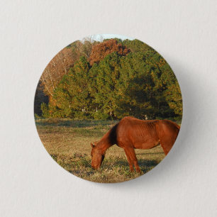 Bruin paard met pijnbomen ronde button 5,7 cm