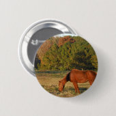 Bruin paard met pijnbomen ronde button 5,7 cm (Voorkant /achterkant)