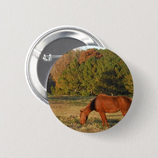 Bruin paard met pijnbomen ronde button 5,7 cm (Voorkant /achterkant)