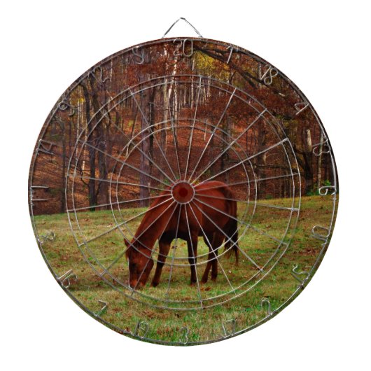 Bruin paard met witte neus aan Bossen rand Dartbord (Voorkant)