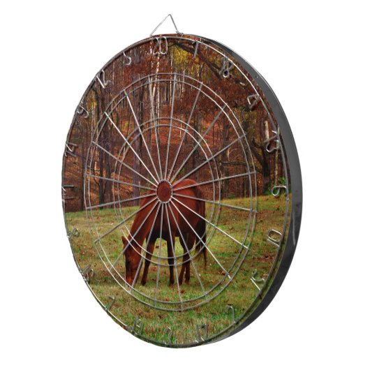 Bruin paard met witte neus aan Bossen rand Dartbord (Voorkant Rechts)