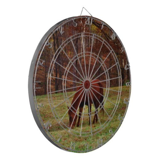 Bruin paard met witte neus aan Bossen rand Dartbord (Voorkant Links)
