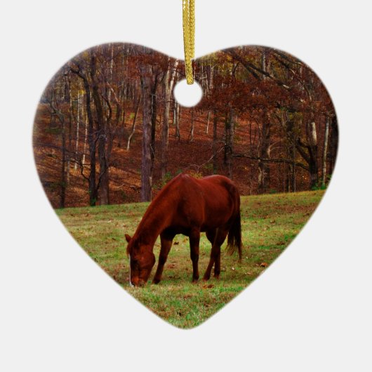 Bruin paard met witte neus aan Bossen rand Keramisch Ornament (Voorkant)