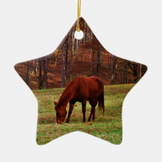 Bruin paard met witte neus aan Bossen rand Keramisch Ornament (Voorkant)