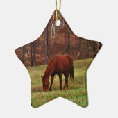 Bruin paard met witte neus aan Bossen rand Keramisch Ornament (Links)