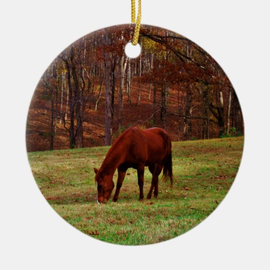 Bruin paard met witte neus aan Bossen rand Keramisch Ornament (Voorkant)