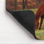 Bruin paard met witte neus aan Bossen rand Muismat (Hoek)