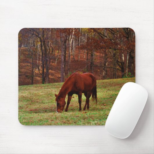 Bruin paard met witte neus aan Bossen rand Muismat (Met muis)