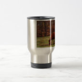 Bruin paard met witte neus aan Bossen rand Reisbeker (Center)