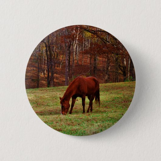Bruin paard met witte neus aan Bossen rand Ronde Button 5,7 Cm (Voorkant)