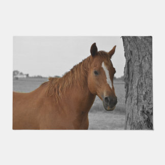 Bruin Paard met Zwarte en Witte Achtergrond Deurmat
