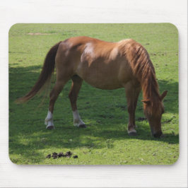 Bruin paard mousepad muismat