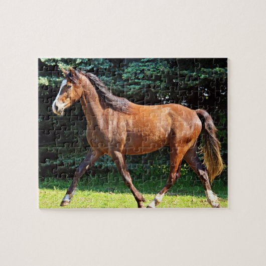 Bruin paard onderweg legpuzzel (Horizontaal)