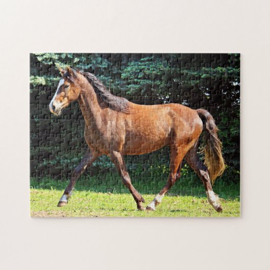 Bruin paard onderweg legpuzzel (Horizontaal)