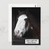 Bruin paard op Boerderij Gewoon een meisje dat van Briefkaart (Voorkant / Achterkant)